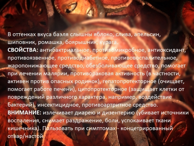 -Баэль-Aegle marmelos-Матума-Каменное яблоко-Бенгальская айва