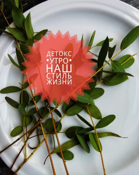 детокс это стиль жизни