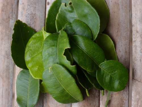листья Каффир-лайма лаймквата | Kaffir Lime leaves