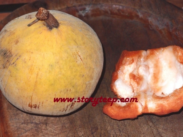 Что за фрукт такой - Сантол | Santol fruit