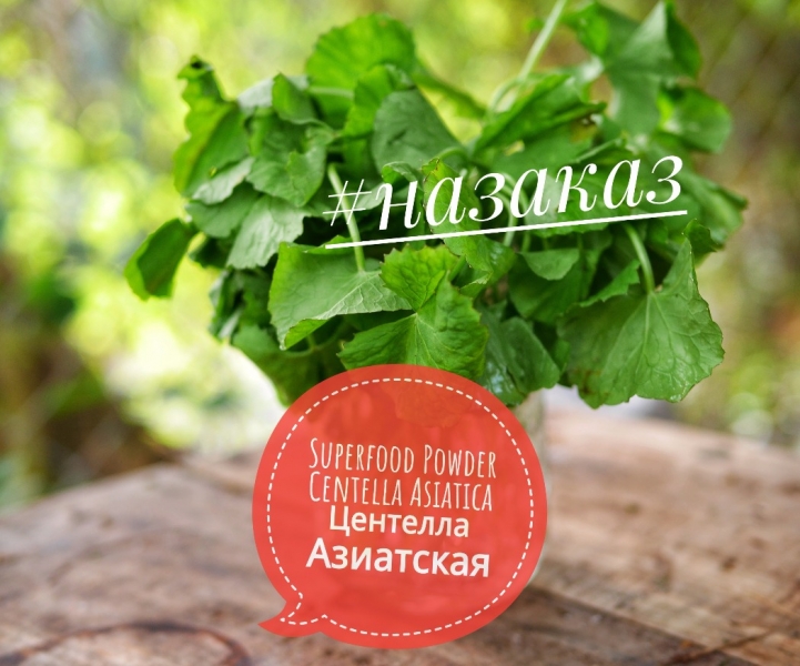 -CENTELLA asiatica superfood powder online order центелла азиатская суперфуд порошок онлайн заказ