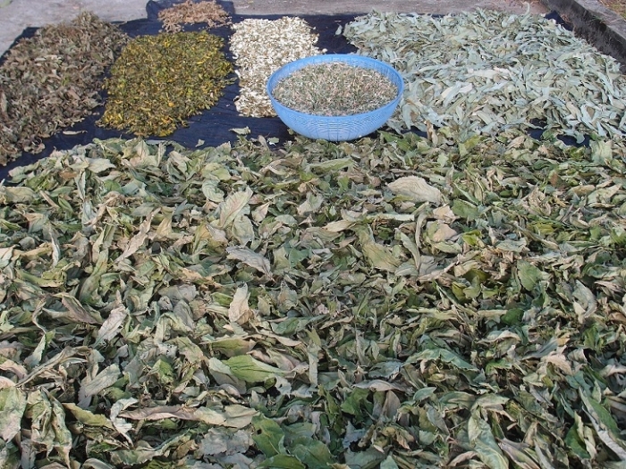 Thai medicinal Herbs sun-dried