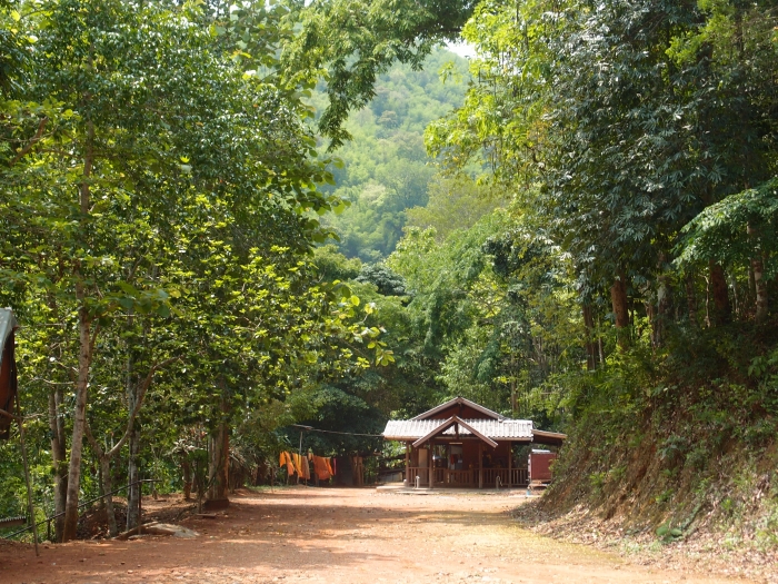 Лесной буддийский монастырь на севере Таиланда Ват Удом | Wat Udom, Forest Monastery in North Thailand