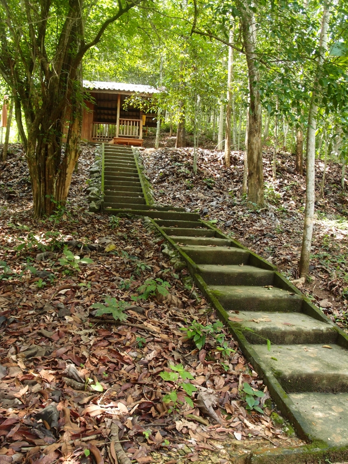 Лесной буддийский монастырь на севере Таиланда Ват Удом | Wat Udom, Forest Monastery in North Thailand